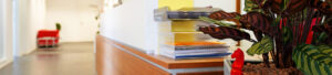 BSKP Header Heilbronn BSKP Header Heilbronn